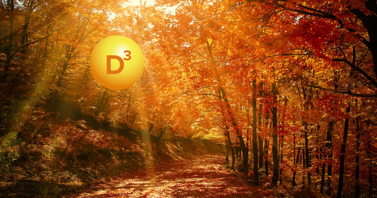 Vitamin D3 Tropfen, Einheiten, hochdosiert, vegan, Öl, Österreich, Glas, Premium, Immunsystem, Sonne, Energie