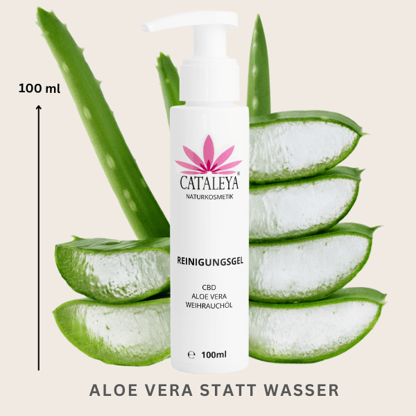 Gesichtsreinigung, Unreine Haut, Trockene Haut, große Poren, Pigmentflecken, Hyperpigmentierung, Hautrötung, Rötungen, Rosazea, Falten, Hautalterung, Fältchen, straffe Haut, Naturkosmetik, Hanfpflanze, Aloe Vera, Wirkung, Bio, Wasser, Wirkstoffe, Rohstoffe, Hanf, CBD, Cannabidiol, Reinigung, Reinigungsgel, Akne, Pickel, Rasieren, Talg, Schmutz, Make Up Reste, abschminken, porentief, sanft, gründlich, Weihrauchöl, Hanfsamen, Öl, Ohne Wasser,
