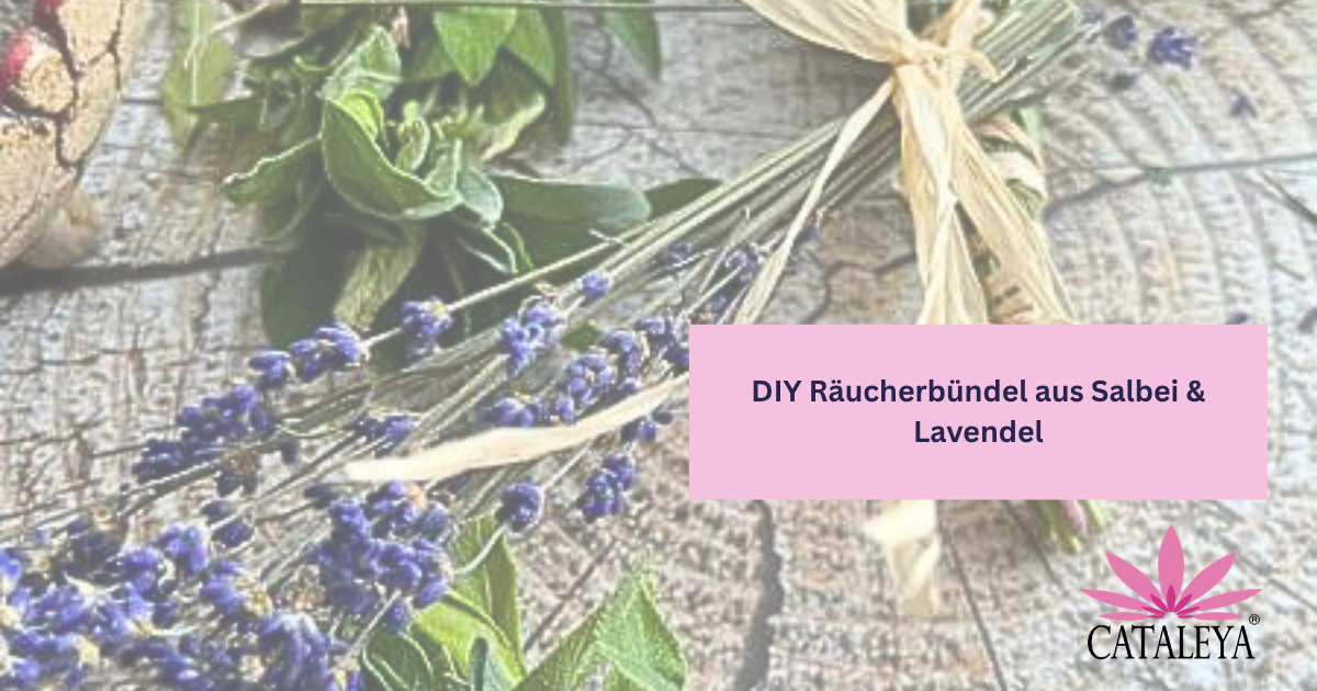 Salbei & Lavendel Räucherbündel, Salbei. Räuchern, Lavendel, Rauhnächte, Weihrauch, Räucherbündel, Selbermachen, Kräuter
