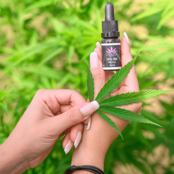 Hanf, Steiermark, CBD, Kosmetik, Naturkosmetik, bio, CATALEYA, Räuchermischungen, Tee, Aloe Vera, Weihrauch