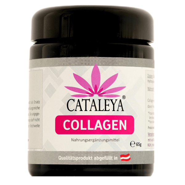 Collagen, Kollagen, Anti-Aiging, Vitamine, Knochen, Haare, Zähne, Haut, Unreine Haut, Kapseln, Glas, Fisch, Wirkung, Tabletten, Vitalstoffe, Stoffwechsel,