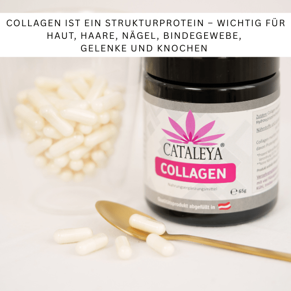 Collagen, Kollagen, Anti-Aiging, Vitamine, Knochen, Haare, Zähne, Haut, Unreine Haut, Kapseln, Glas, Fisch, Wirkung, Tabletten, Vitalstoffe, Stoffwechsel,