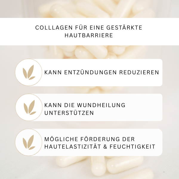 Collagen, Kollagen, Anti-Aiging, Vitamine, Knochen, Haare, Zähne, Haut, Unreine Haut, Kapseln, Glas, Fisch, Wirkung, Tabletten, Vitalstoffe, Stoffwechsel,