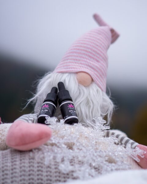 Merchandise, Shooting, CITY, Gleisdorf, CATALEYA, Naturprodukte, Pulli, Foto, Eisner Fotografie, brücke, hängebrücke, Kärnten, bianca,