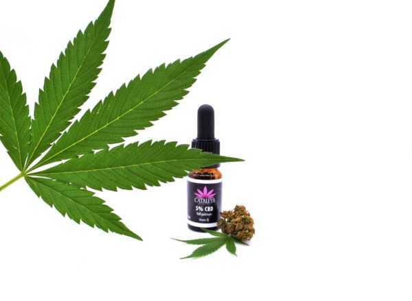 CBD, Heilpflanzen, Anbau, CATALEYA, Cbda, Ernte, Gesundheit, Pickel, Narben, Aloe Vera Gel, CBD Kosmetik, bio, vegan, biokosmetik, hanfpflanze, Hanfsamenöl, Herstellung, Hochwertig, Kosmetik, Naturkosmetik, Natürlichkeit, öl, Österreich, Qualität, Schönheit, Tiere, Vertrieb, vollspektrum, Wirkung, wohlfühlen, Hanf, Hanfpflanze, Vollspektrum, Endocannabinoide, Cannabinoide, Cannabidiol, Terpene, Flavonoide,