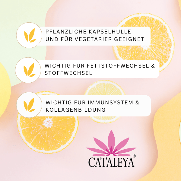 Vitamin C, Nahrungsergänzungmittel, Vitamine, Mangel, C, Collagen, Kollagen, Magen, Fettstoffwechsel,
