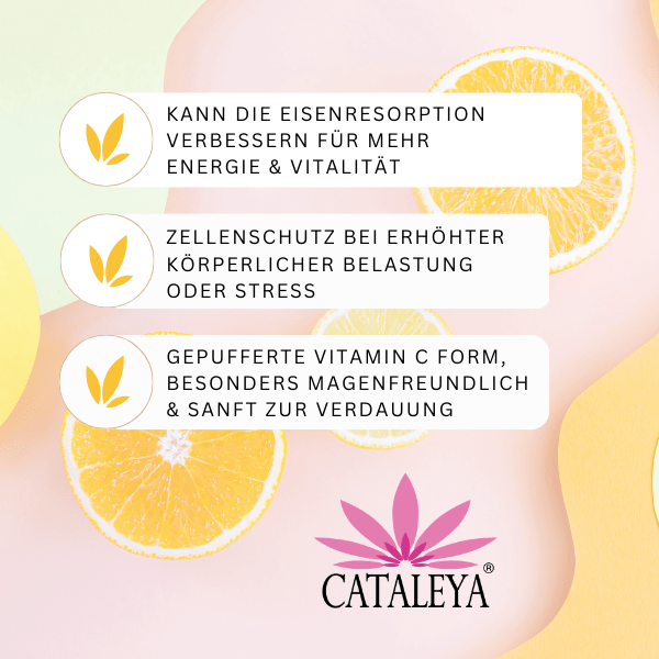 Vitamin C, Nahrungsergänzungmittel, Vitamine, Mangel, C, Collagen, Kollagen, Magen, Fettstoffwechsel,