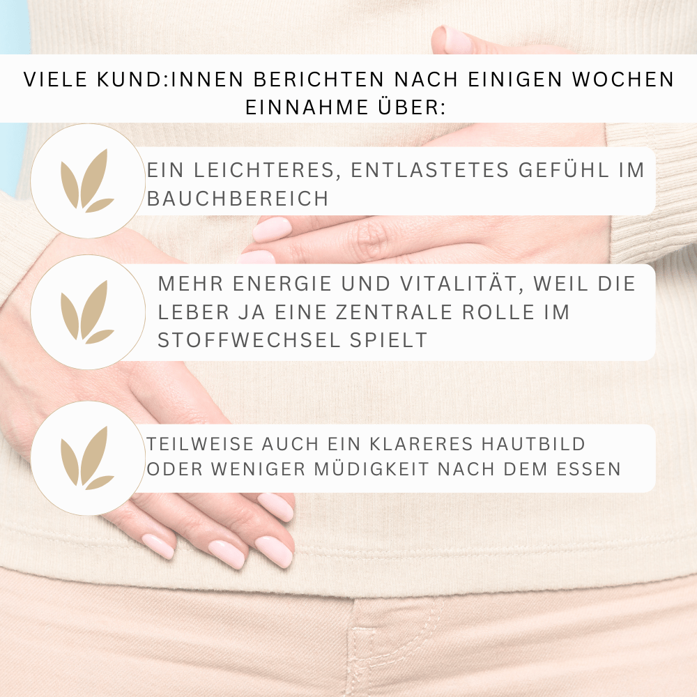 Leber, Komplex, Fettleber, Leberwerte, Entgieften, Fettleber, Artischocke, Wermut, Mariendistel, Ackerschachtelhalmkraut,