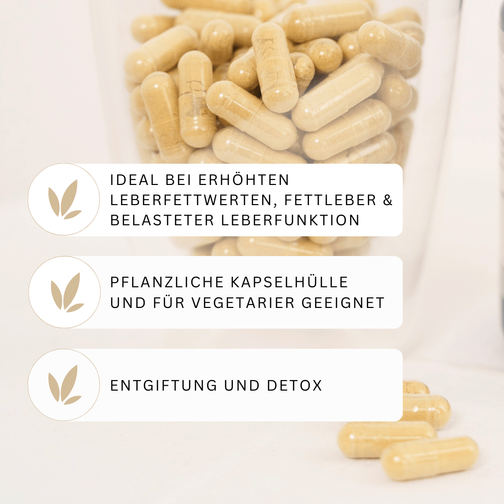 Leber, Komplex, Fettleber, Leberwerte, Entgieften, Fettleber, Artischocke, Wermut, Mariendistel, Ackerschachtelhalmkraut,