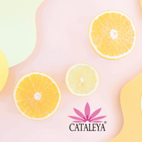 Zwei halbierte Orangen und eine halbierte Zitrone auf einem pastellfarbenen Hintergrund in Rosa, Gelb und Grün mit dem lilafarbenen CATALEYA-Logo im unteren Bereich.