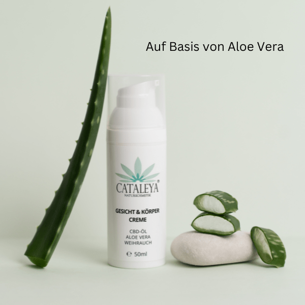 Abszesse, Aloe Vera, antiseptisch, beruhigt, biologisch, Bioqualität, Boswellia-Säure, Cannabidiol, CATALEYA, Cbd, CBD ÖL, Ekzeme, entzündungshemmend, Entzündungslindernd, Fette, Flavonoide, Gereizt, GESICHT, Gesichtscreme, Hanfpflanze, Hanfsamenöl, Haut, Hautbild, Hautirritation, Hautproblem, Hanfkosmetik, Hautverträglichkeit, Herpes, Hochwertig, Inhaltsstoffe, intensiv, Isolate, Körper, Körpercreme, Kosmetik, Kosmetiklinie, Kühlend, Nachhaltigkeit, Narbenbildung, Hanf, Neurodermitis, Nutzhanf, Öl, Österreich, Pflanzenöle, Pflanzenstoffe, pflanzlich, Pflegecreme, pflegt, Pickel, Regeneration, Regulierend, Säureschutzmantel, Schmerzlindernd, Schuppenflechte, Spektrum, Talgdrüse, Unterstützung, Vitamin E, vollspektrum, Weihrauch, Wunden, Narben, Akne, Pickel, Aloe Vera Gel, Biokosmetik, veganekosmetik, Creme, Salbe, Wundcreme, Heilpflanzen, Männer, Bart, Rasieren,