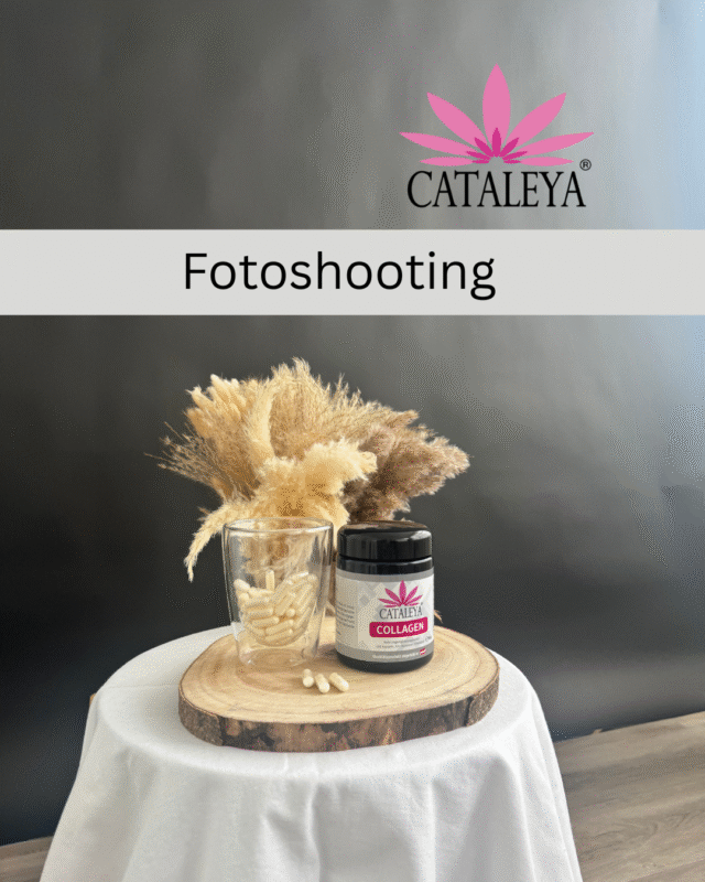 Fotoshooting, Produktfotos, Shooting, Pischelsdorf, Daniela Hausbauer, Fotografie, Steiermark, CATALEYA, Naturprodukte, Ursisbuntewelt, Kulm, Bezirk Weiz,
