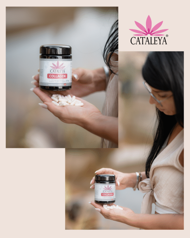 Bauers Bitter, Bitterstoffe, Regional, Bio, Steiermark, Bezirk Weiz, Vulkanland, CATALEYA, Naturprodukte, Daniela Hausbauer, Fotografie, Produkte, Collagen, Hanf, Detox, Garten, Energieplatz