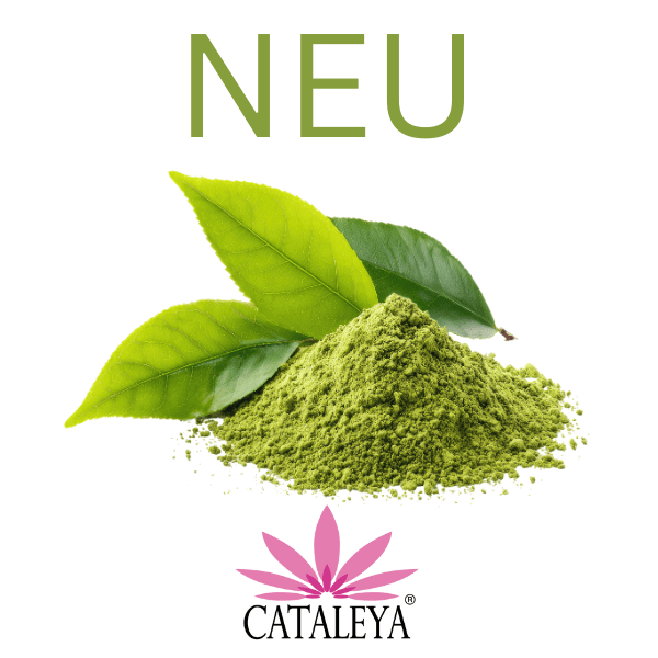 Matcha, Zitrone, Grüner Tee, Teemischung