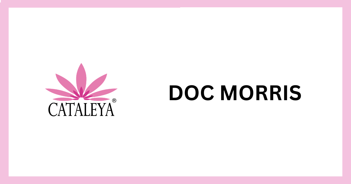Doc Morris, Online Apotheke, Deutschland, Naturprodukte, CBD, Hanf, Detoxtee, Kräutertee,
