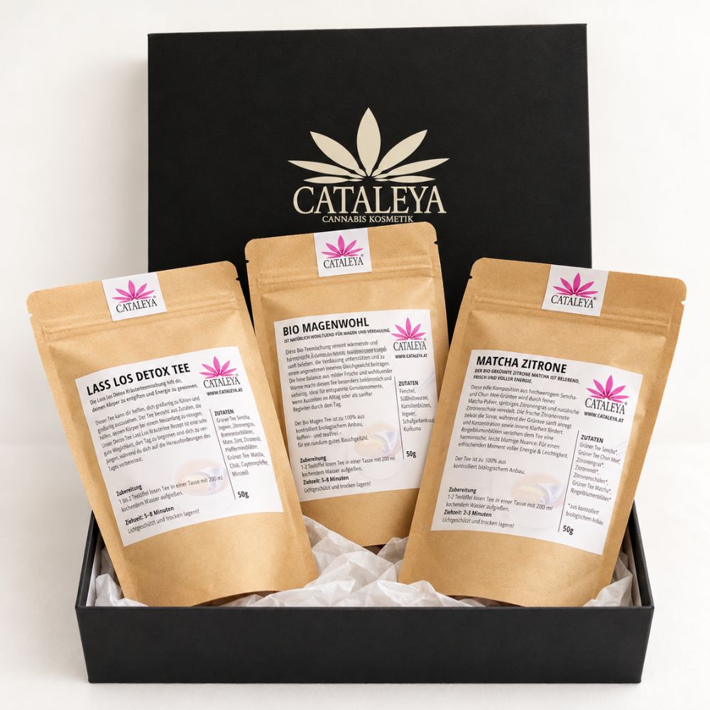cataleya-tee-set-detox-magenwohl-matcha-geschenkbox