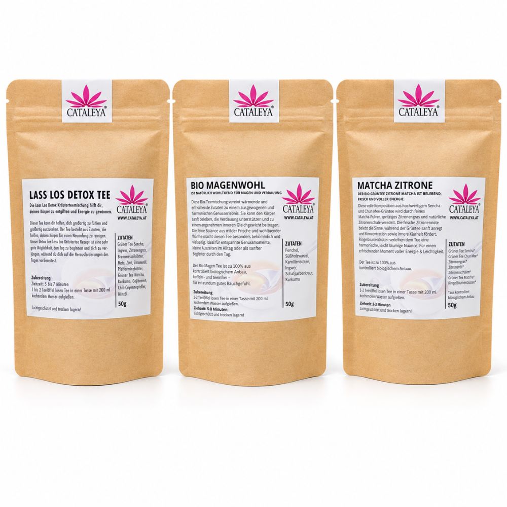 Teeset, Geschenkset, Detox, Magenwohl, Darm, Teemischung, Set, Kur, Matcha, Abnehmen, Verdauung, Grünntee
