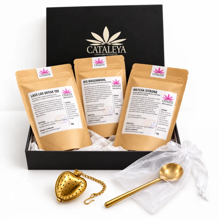 CATALEYA Kleine Tee-Auszeit mit Detox, Bio Magenwohl, Matcha Zitrone, Herz-Tee-Ei und Löffel im Säckchen auf weißem Hintergrund