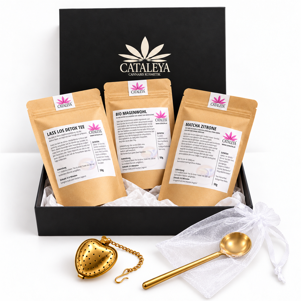 Meine kleine Tee-Auszeit mit Detox, Bio Magenwohl, Matcha Zitrone und goldfarbenem Tee-Zubehör in schwarzer CATALEYA Geschenkbox auf weißem Hintergrund